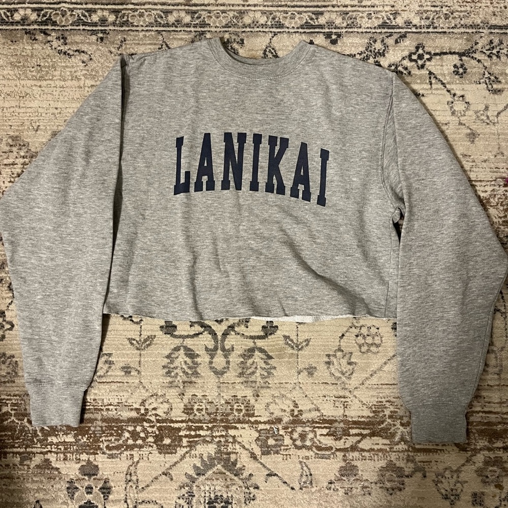 John Galt/ Brandy Melville cropped sweatshirt